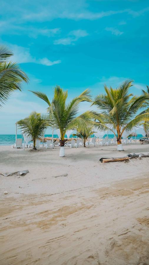 Makary Beach Tolu By Bernalo Hotels Εξωτερικό φωτογραφία